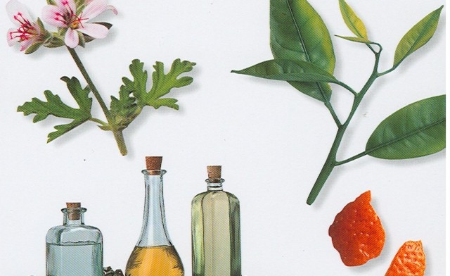 9 jenis minyak yang berkhasiat buat kesehatan